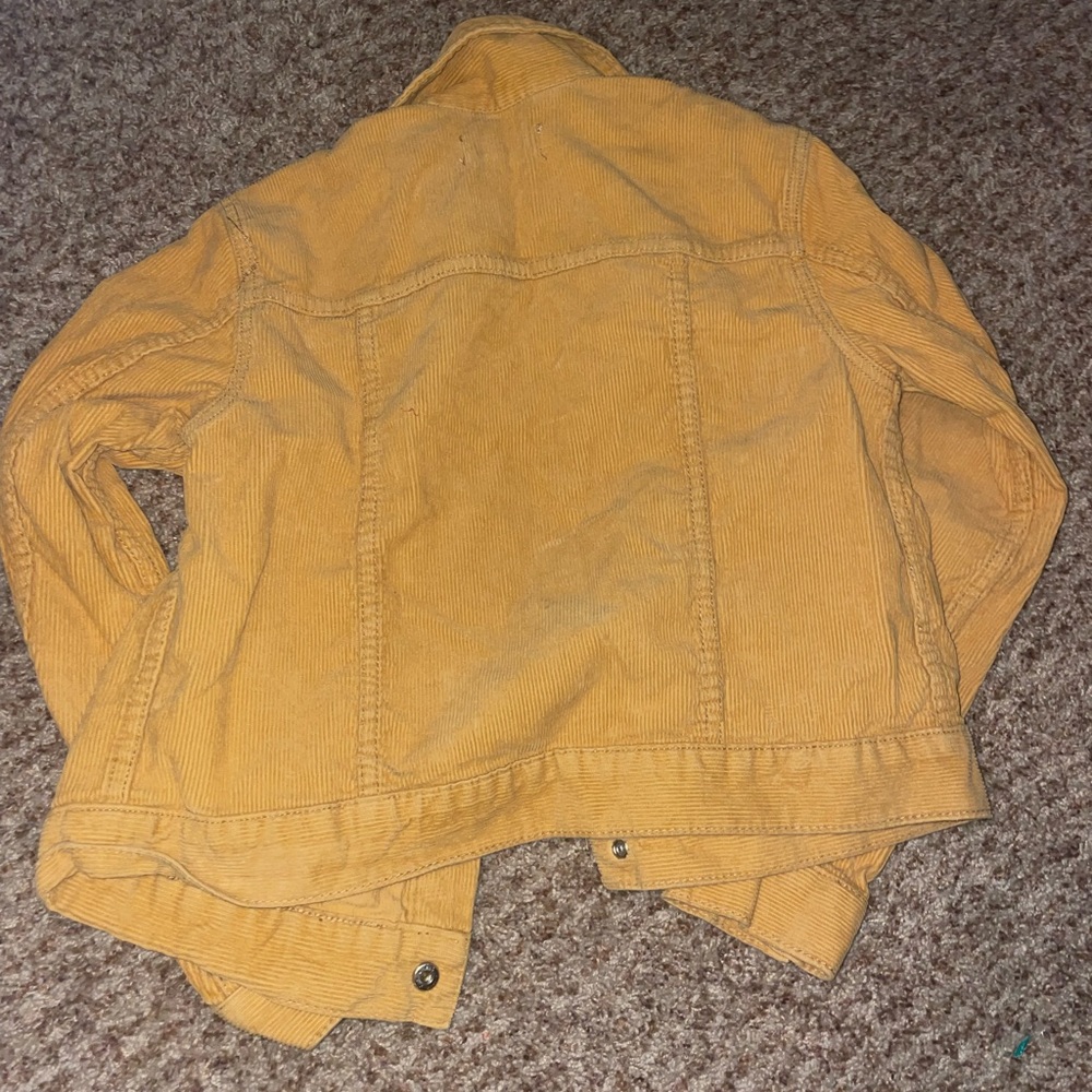 Yellow Jacket - Picture 2 of 3
